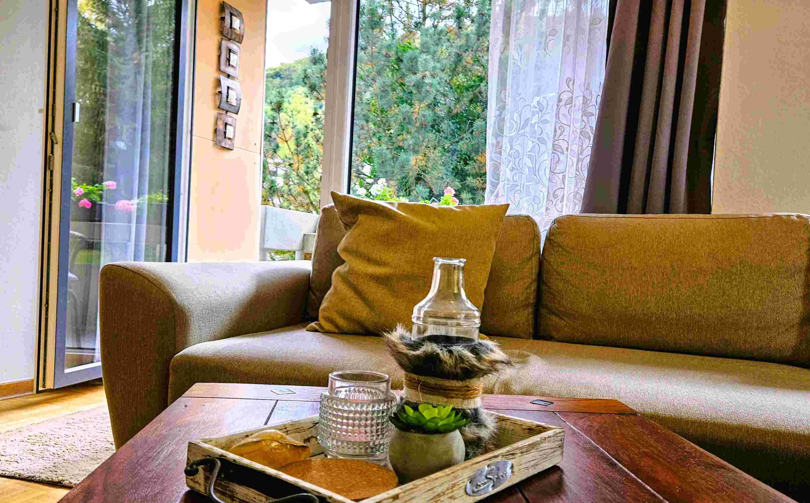 Smart TV, DVD player, books, music library