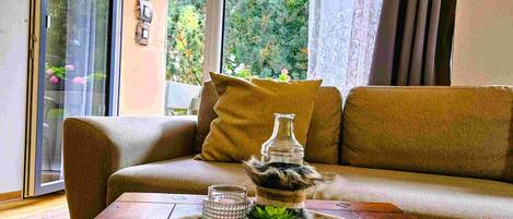 Smart TV, DVD player, books, music library