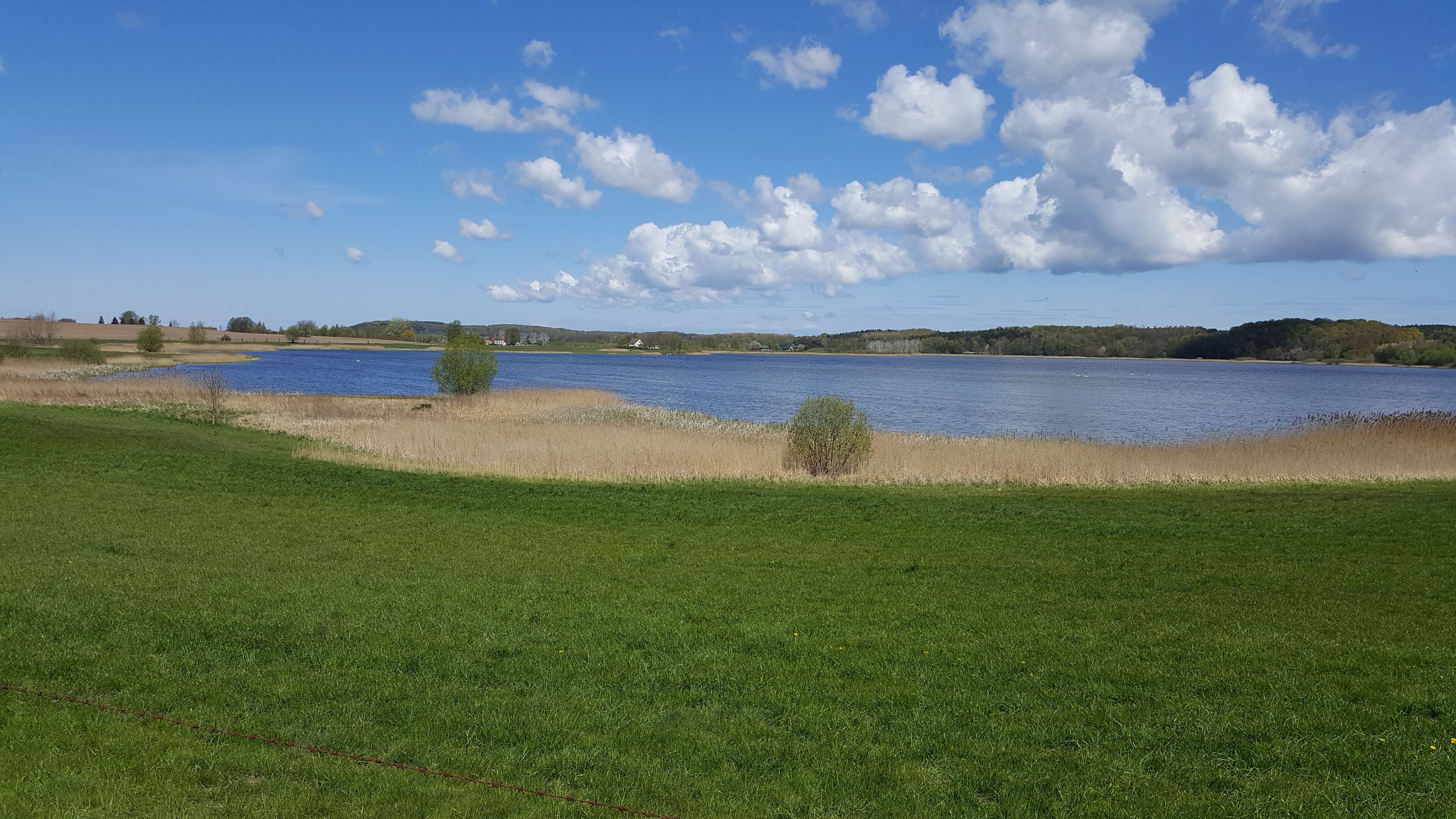 Ruohikkoalue, jossa on vesiallas ja kauempana kohoavia kukkuloita.