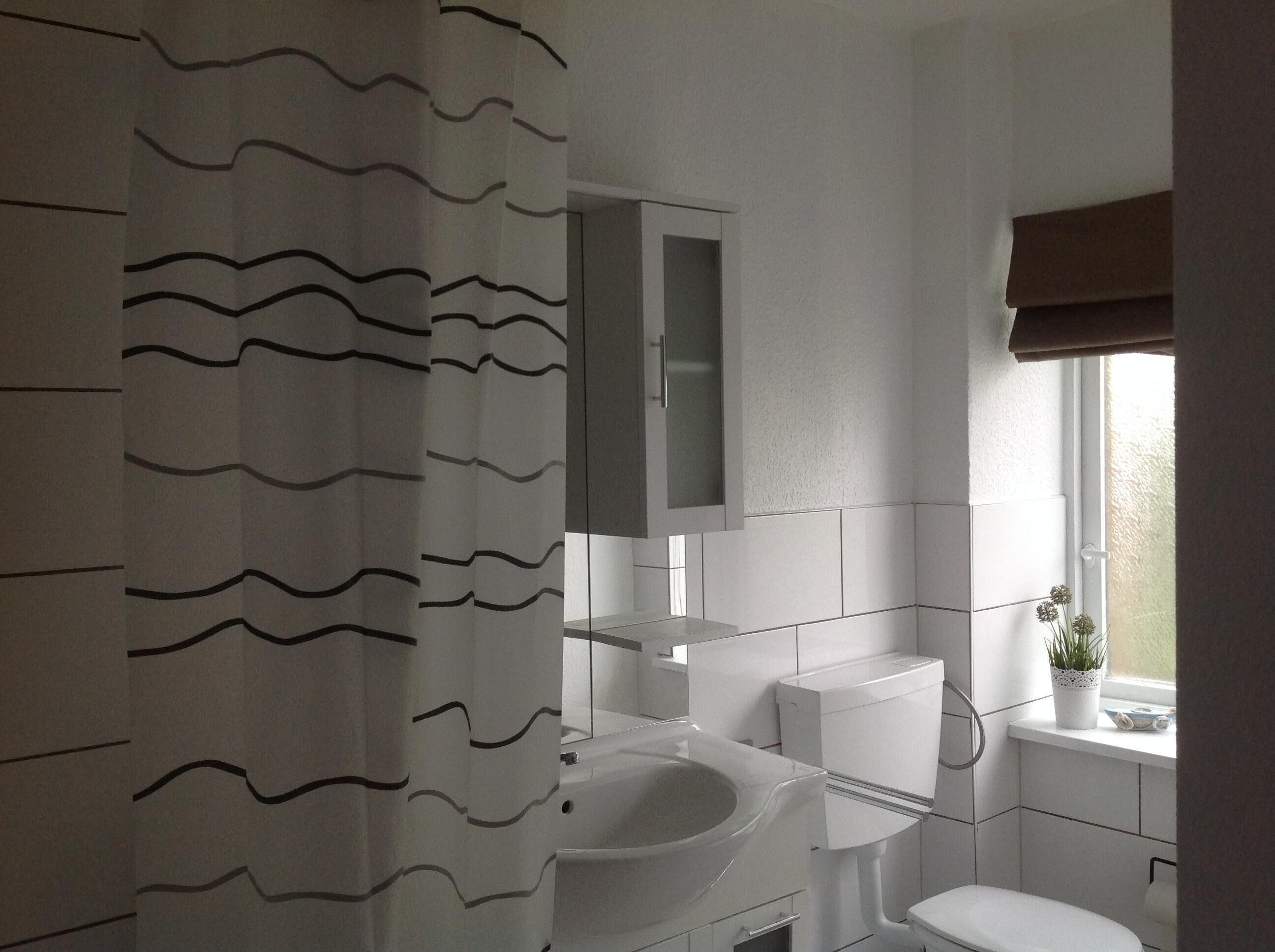 Un baño con cortina de ducha, lavamanos, inodoro, armario y ventana con planta.