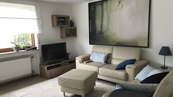 Televisión, reproductor de DVD, libros y videoteca
