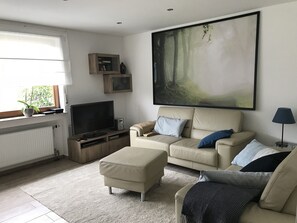 Fernseher, DVD-Player, Bücher, Videothek