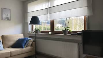 Télévision, lecteur de DVD, livres, vidéothèque