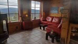 TV, peis, DVD-spiller og bøker