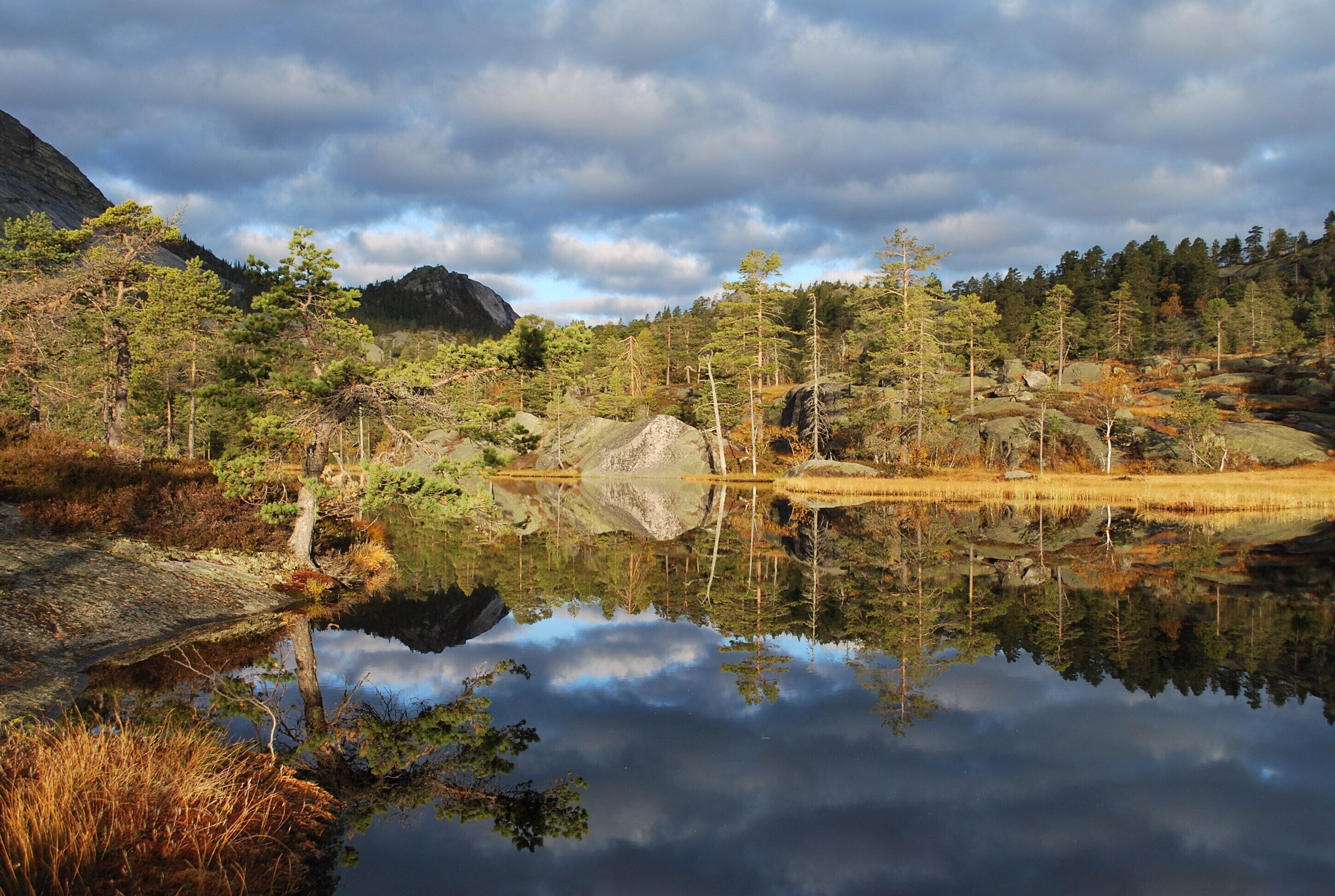 Un paisaje sereno con un lago tranquilo que refleja árboles y montañas.