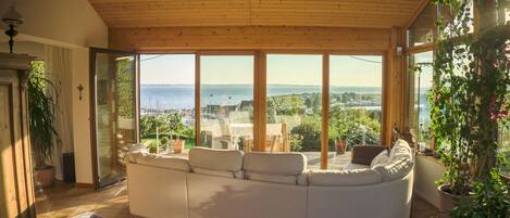 Télévision, cheminée, livres, chaîne hi-fi