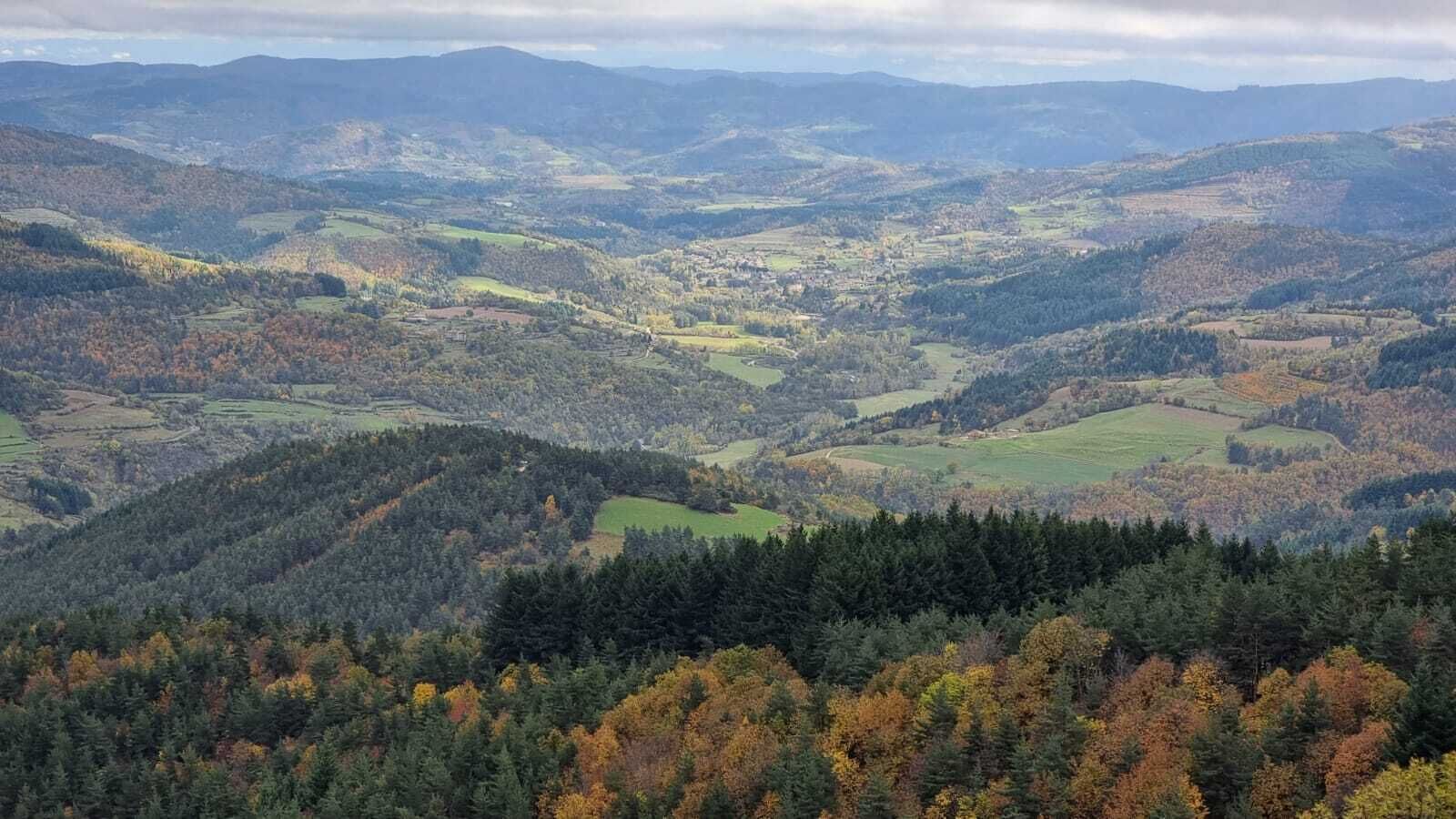Une vue panoramique d’un paysage montagneux, avec de vastes forêts et des collines ondulantes.