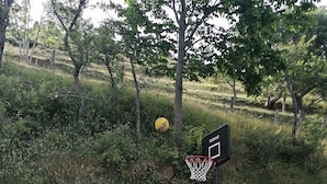 Una persona jugando al baloncesto en un entorno exterior con un muro de piedra y una valla de madera.