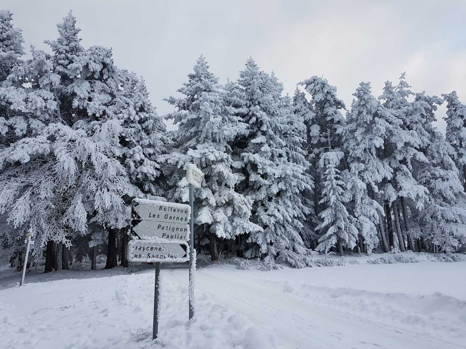 A snow-covered landscape with a directional signpost indicating various destinations.