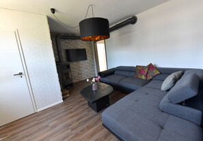 Télévision, cheminée, lecteur de DVD