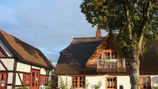A traditional European village scene with thatched-roof houses, a small outdoor seating area, and a tree in the foreground.