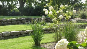 A well-maintained garden with a stone wall, lush green grass, and flowering plants.