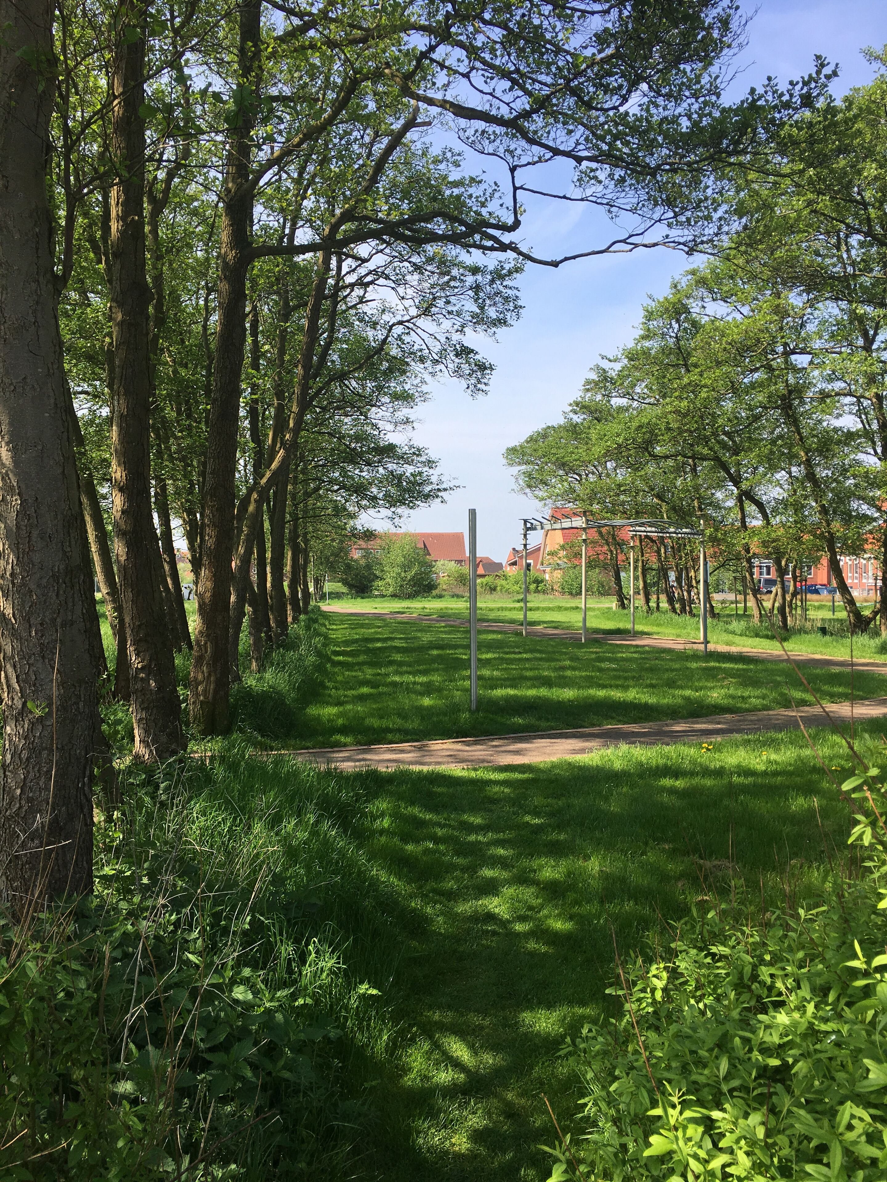 A park with a paved path, trees, and a building in the background.
