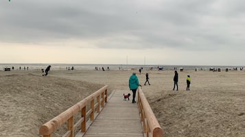 Plage à proximité, chaises longues, serviettes de plage