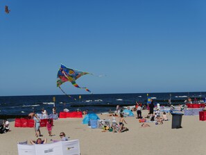 Lettini da mare