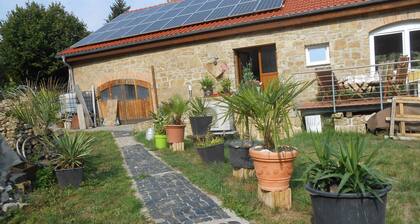 Modern loft / kitchen / lounge / terrace / 2 bedrooms.