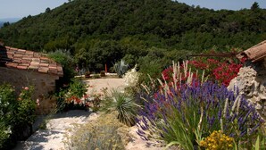 Ein Garten mit unterschiedlichen Pflanzen und Blumen, eine Steinmauer und Blick auf einen bewaldeten Hügel.