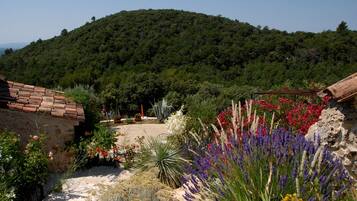 Terrein van de accommodatie