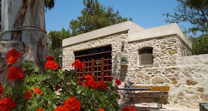 Stone-built studio under two Eucalyptus trees.