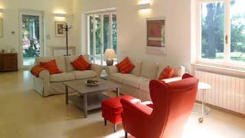 Una televisión, una chimenea, un reproductor de DVD, libros