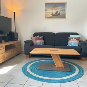 TV connectée, cheminée, livres, chaßne hi-fi