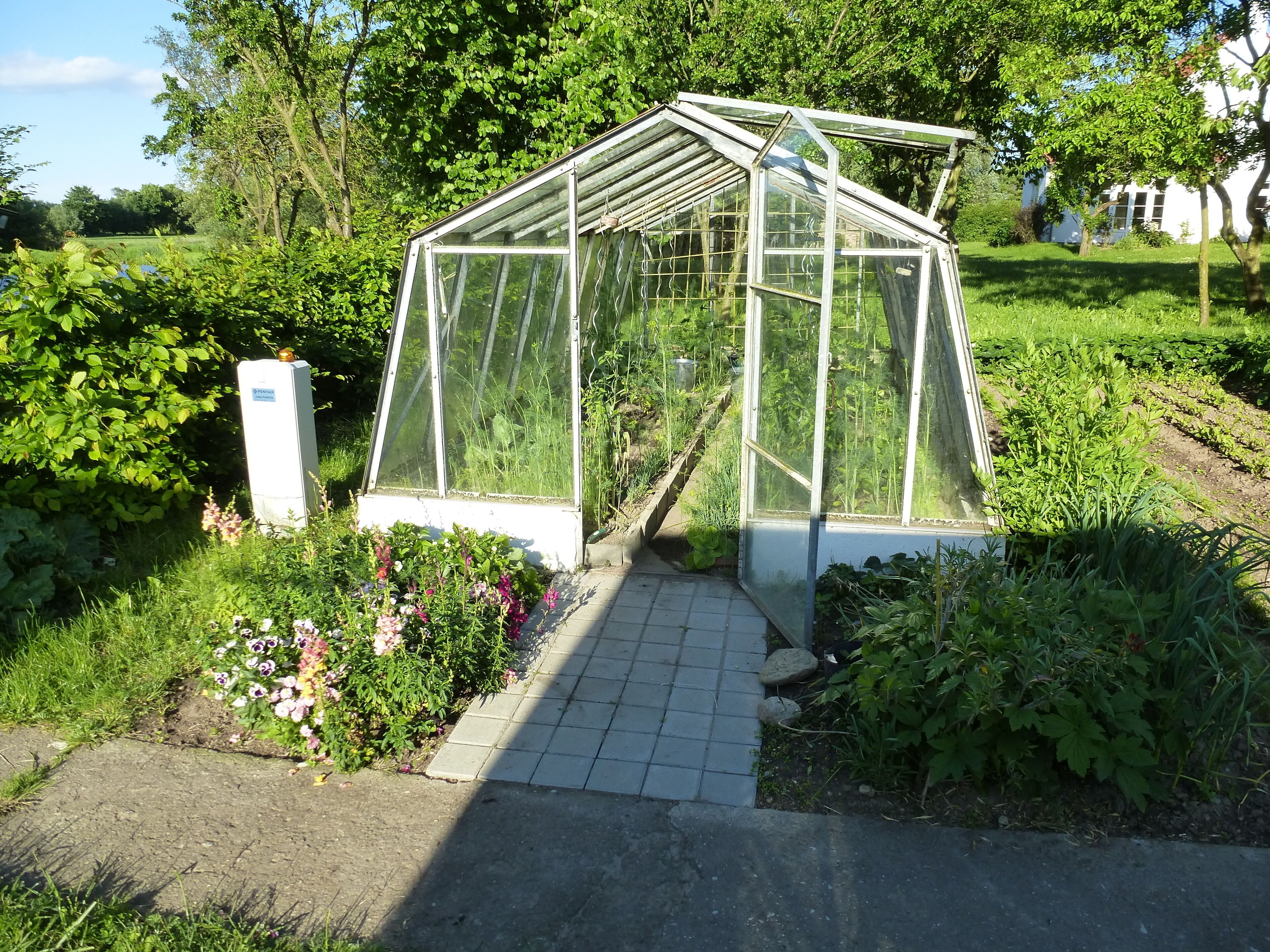 Ein Gewächshaus mit klarer Dachkonstruktion, umgeben von einem Garten mit verschiedenen Pflanzen und Blumen.