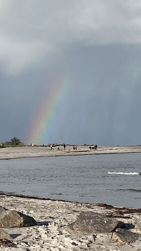 Komfortable, ebenerdige,  Ferienwohnung  mit Terrasse und Garten zum Wohlfühlen.