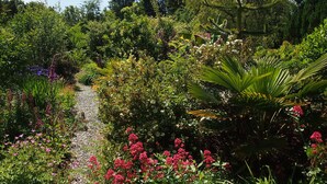 A garden with a gravel path, various plants, and trees. - Boutique Holiday Cottage set in a large and tranquil garden near Durrus (Durrus)