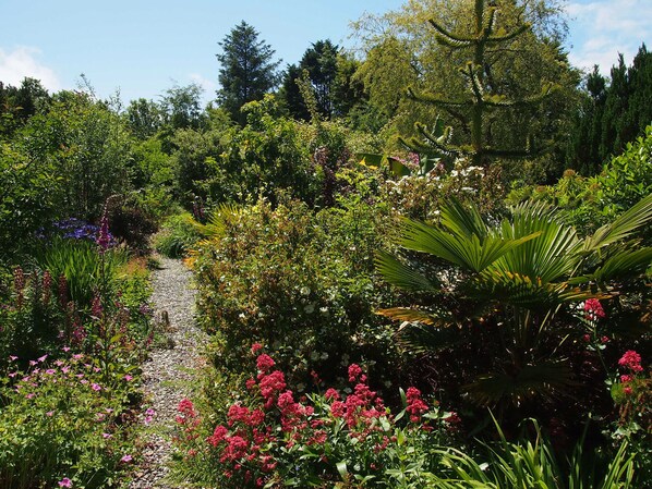 Terrain de l’hébergement 