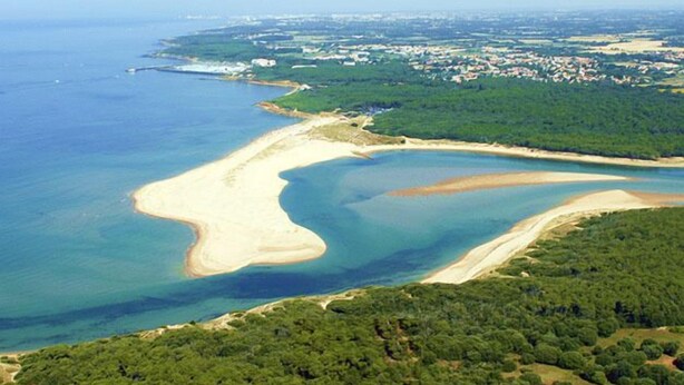 Eine Luftaufnahme einer Küstenlandschaft mit Sandstrand, klarem blauen Wasser und dichtem Grünland.