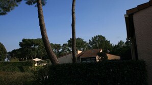 Ein Wohngebiet mit einem Haus, umgeben von hohen Bäumen und blauem Himmel.