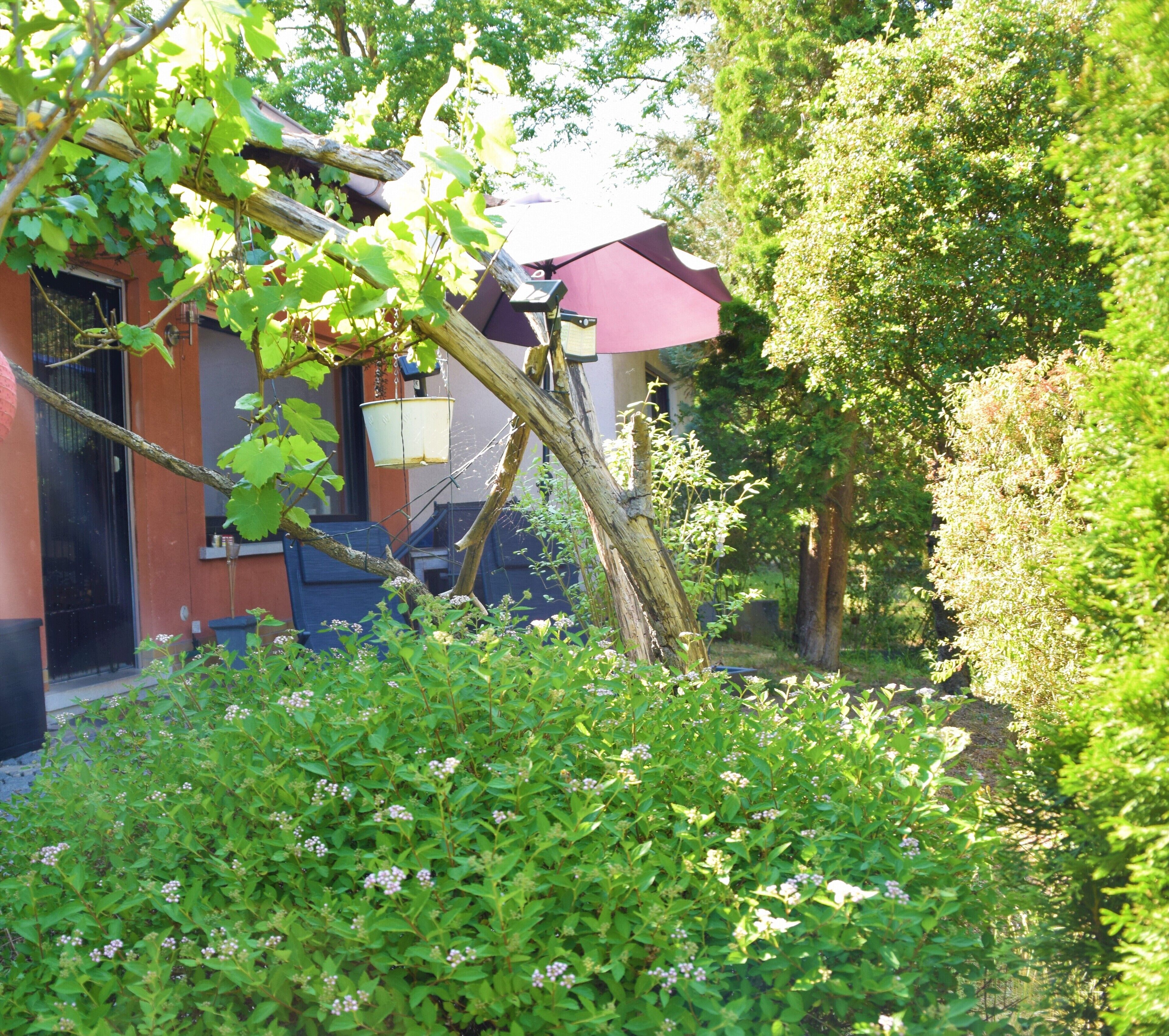 Ein Garten mit einem roten Gebäude, einem hängenden Korb und einer Holzkonstruktion.