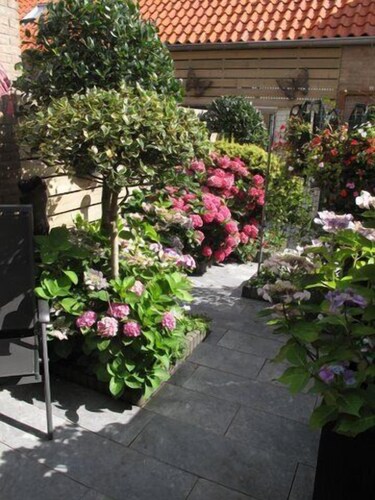 Apartment 2-3 pers. with private terrace 150 meters from the beach.