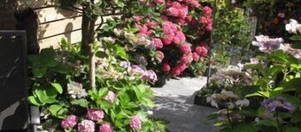 Apartment 2-3 pers. with private terrace 150 meters from the beach.