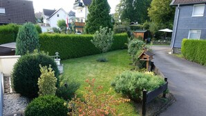 Un giardino residenziale con un prato curato, diverse siepi e una casetta per uccelli in legno.