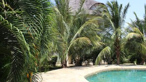 A swimming pool surrounded by palm trees and a thatched-roof building.