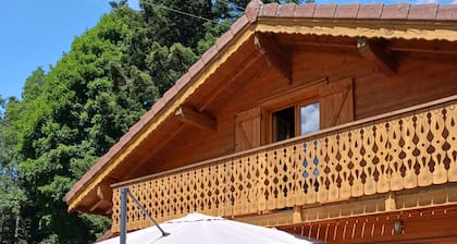 Chalet de Montagne sauna ambiance cocooning proximité lacs et pistes de ski