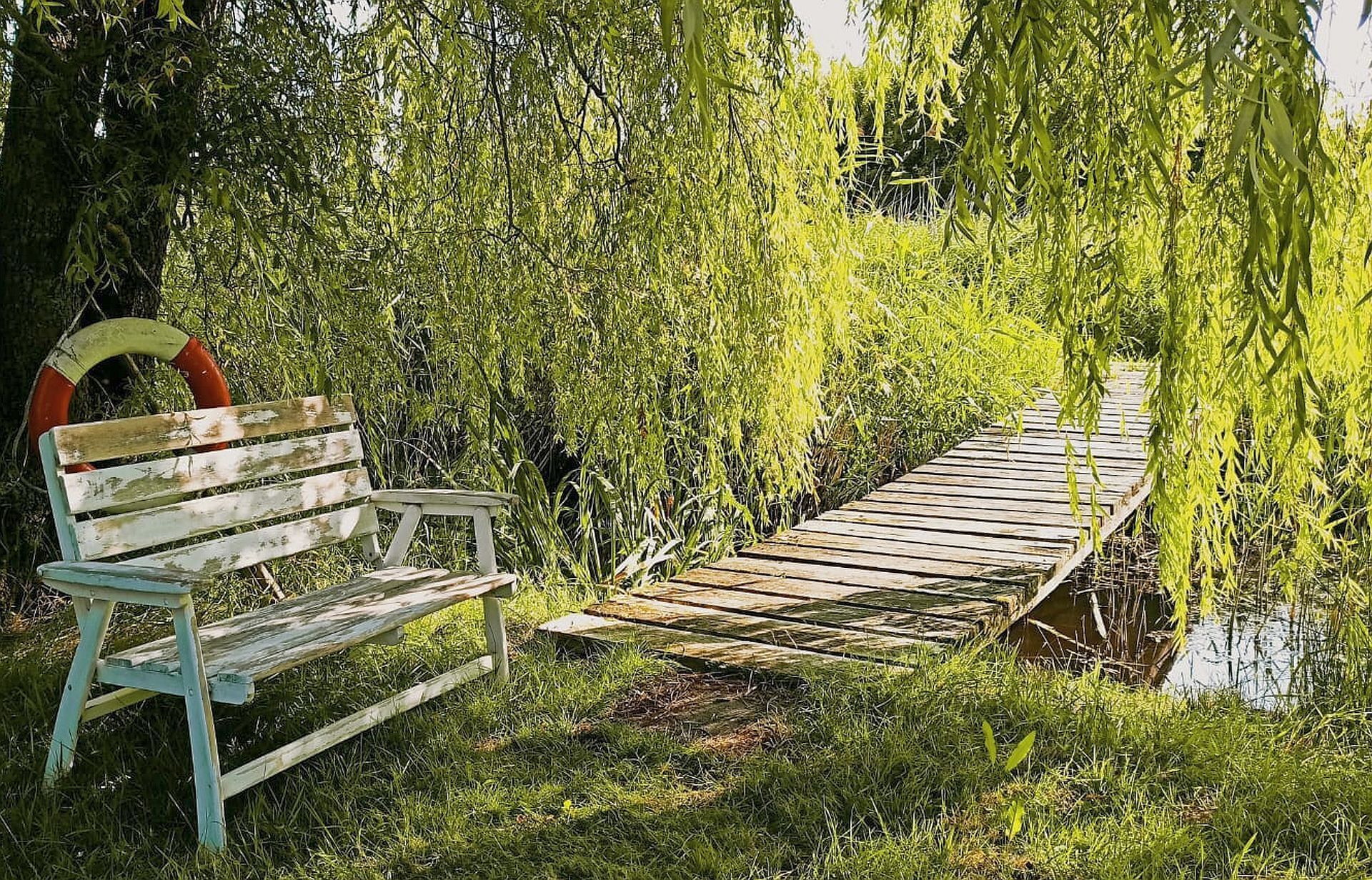 A wooden bench with a lifebuoy attached, situated in a lush green area with a wooden boardwalk leading to a body of water.
