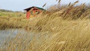 Une structure en bois rouge surmontée d’un toit vert, entourée d’herbes hautes et sèches et bordée d’une étendue d’eau.