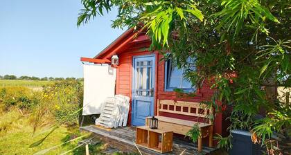 Close to Sylt - peace, nature, vacation at the biotope - free bicycles