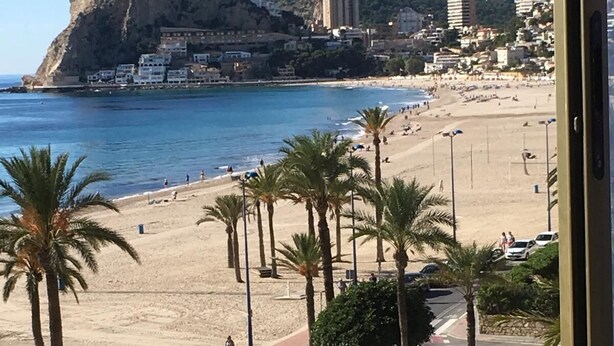 Una playa con palmeras, un paseo curvo y edificios al fondo.