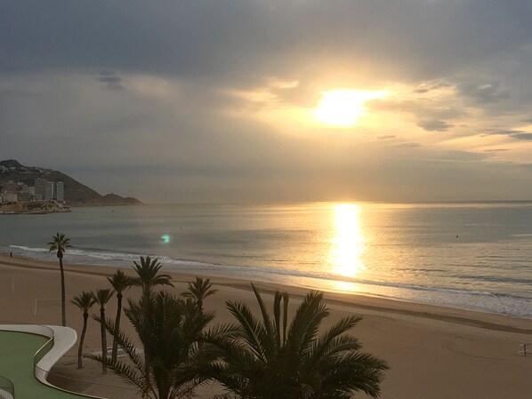 A beach with a sunset, palm trees, and a cityscape in the background.