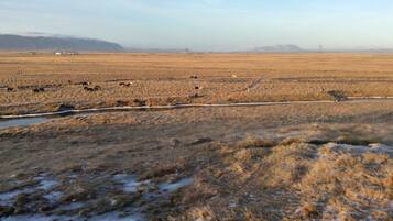 A vast, open landscape with a river running through it, surrounded by dry grass and snow patches.