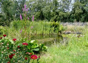 Property grounds - Bright, beautiful and modern furnishings. quiet 3 room apartment, Carp. u.Garten (Reppenstedt)