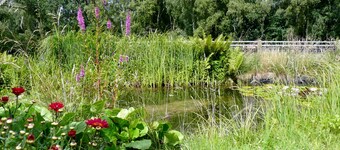 Bright, beautiful and modern furnishings. quiet 3 room apartment, Carp. u.Garten