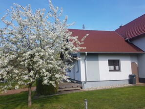Esterni