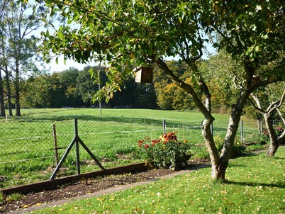 Forget the stress of everyday life, treat yourself to a vacation in the countryside!