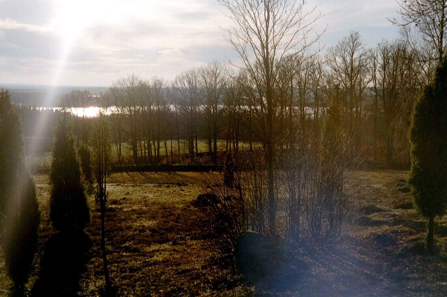 Een landschap met een pad, bomen en een waterpartij in de verte.
