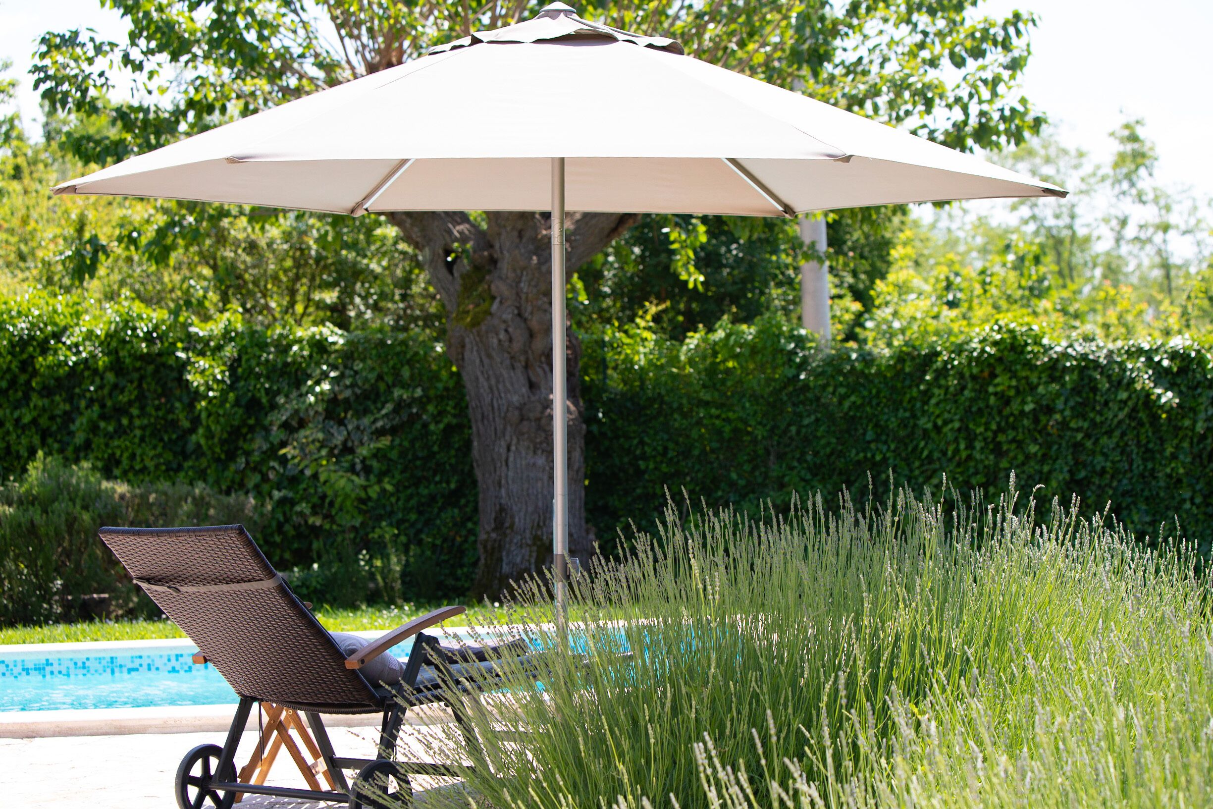A poolside area with a lounge chair under a large umbrella, surrounded by lush greenery and a tree.