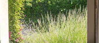 Charmant stenen huis, privé zwembad op een rustige locatie